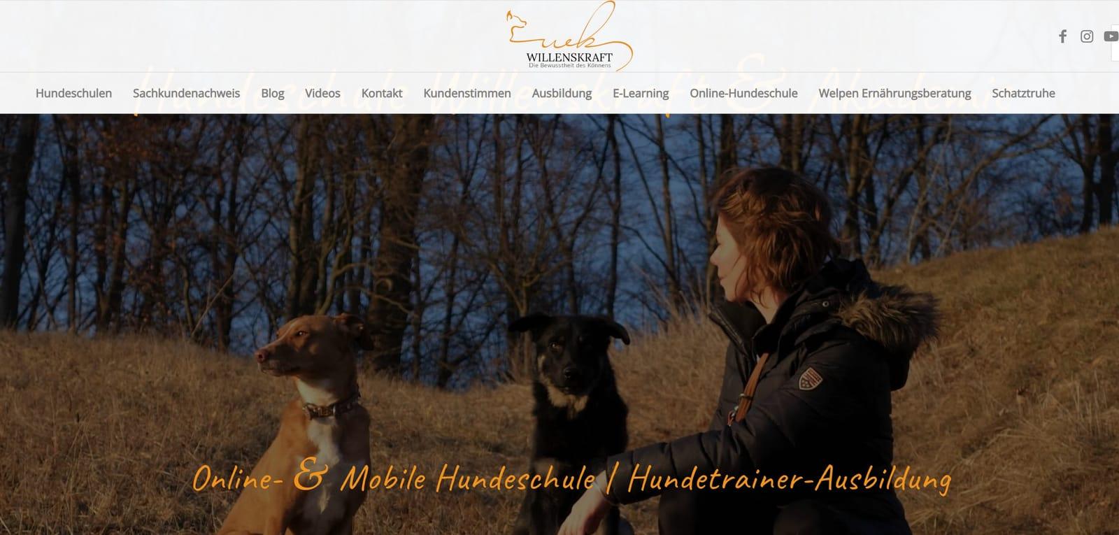 Willenskraft Hundeschule