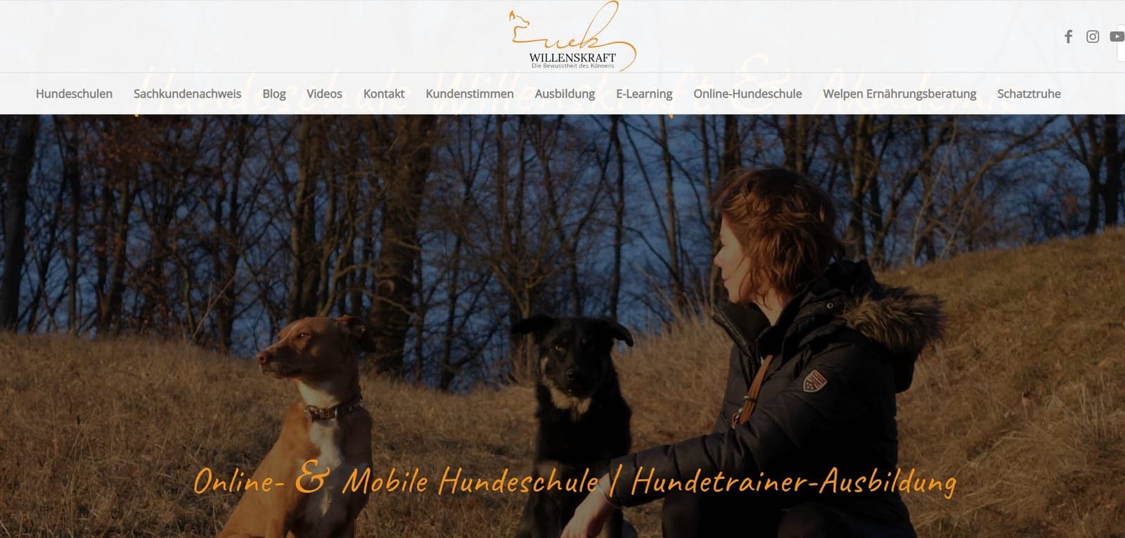 Willenskraft Hundeschule — Website-Ausschnitt