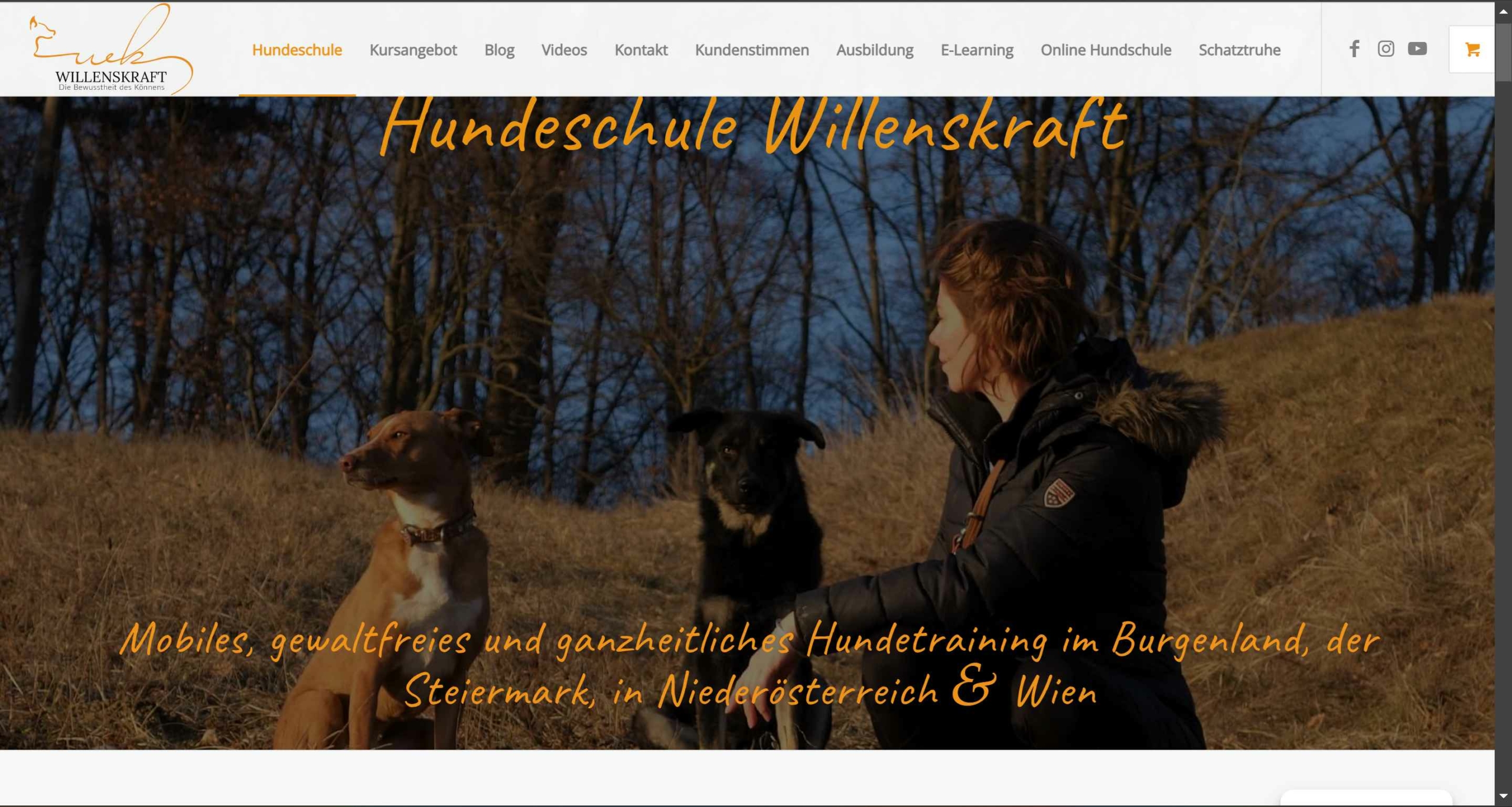 Willenskraft Hundeschule Website