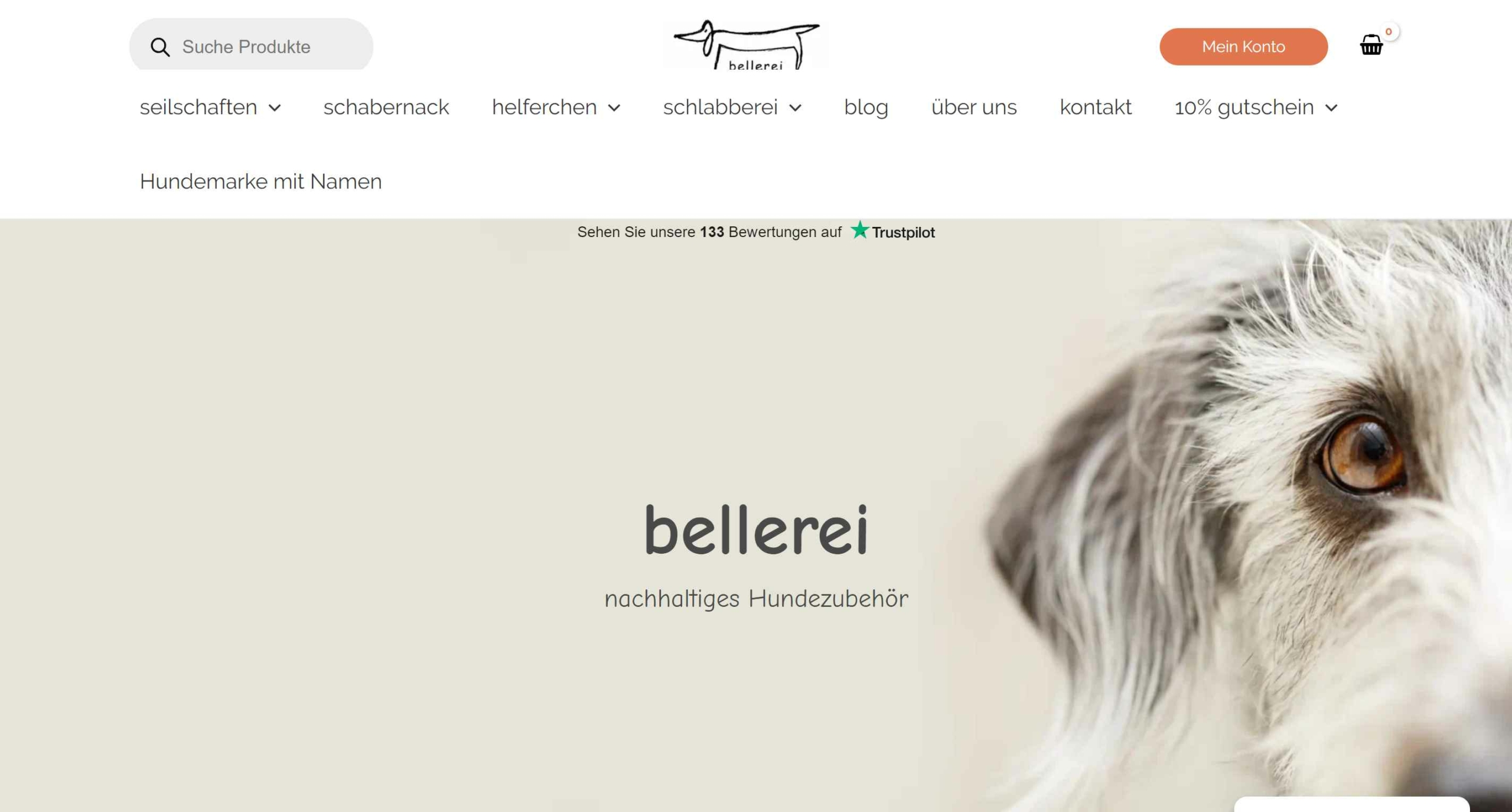 Bellerei Homepage Erstellung